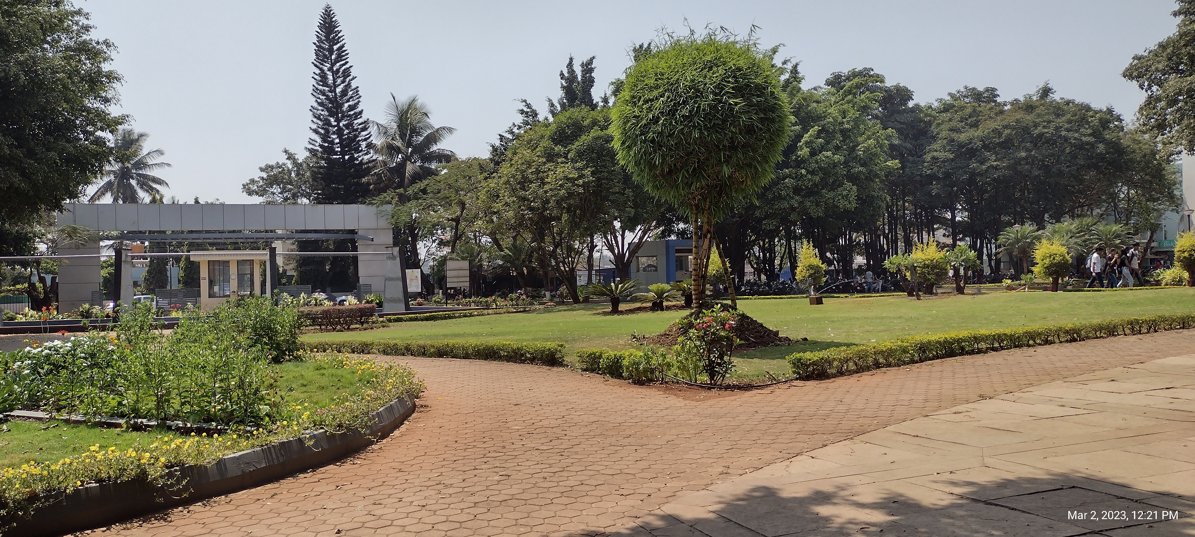 Gallery - Vivek Dhamanemath